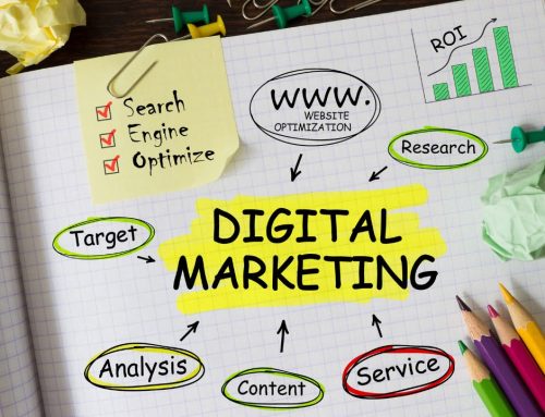 Best C Plus Course Options