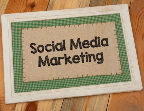 Learn SEO, Social Media & Web Design